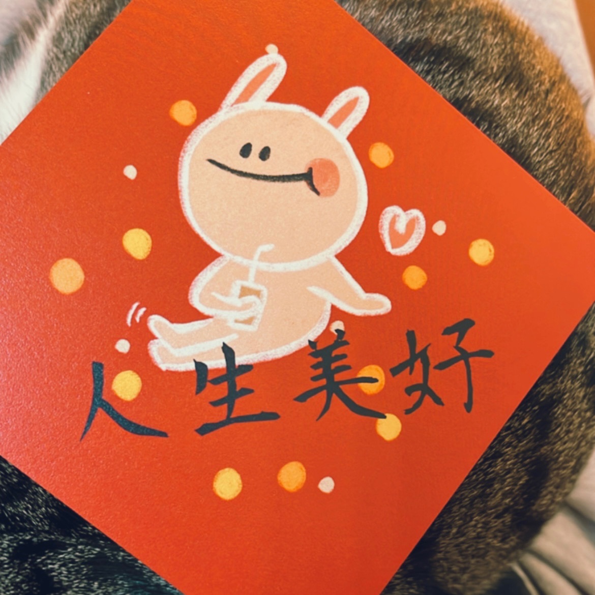 2024龍年貓貓小春聯 4入組