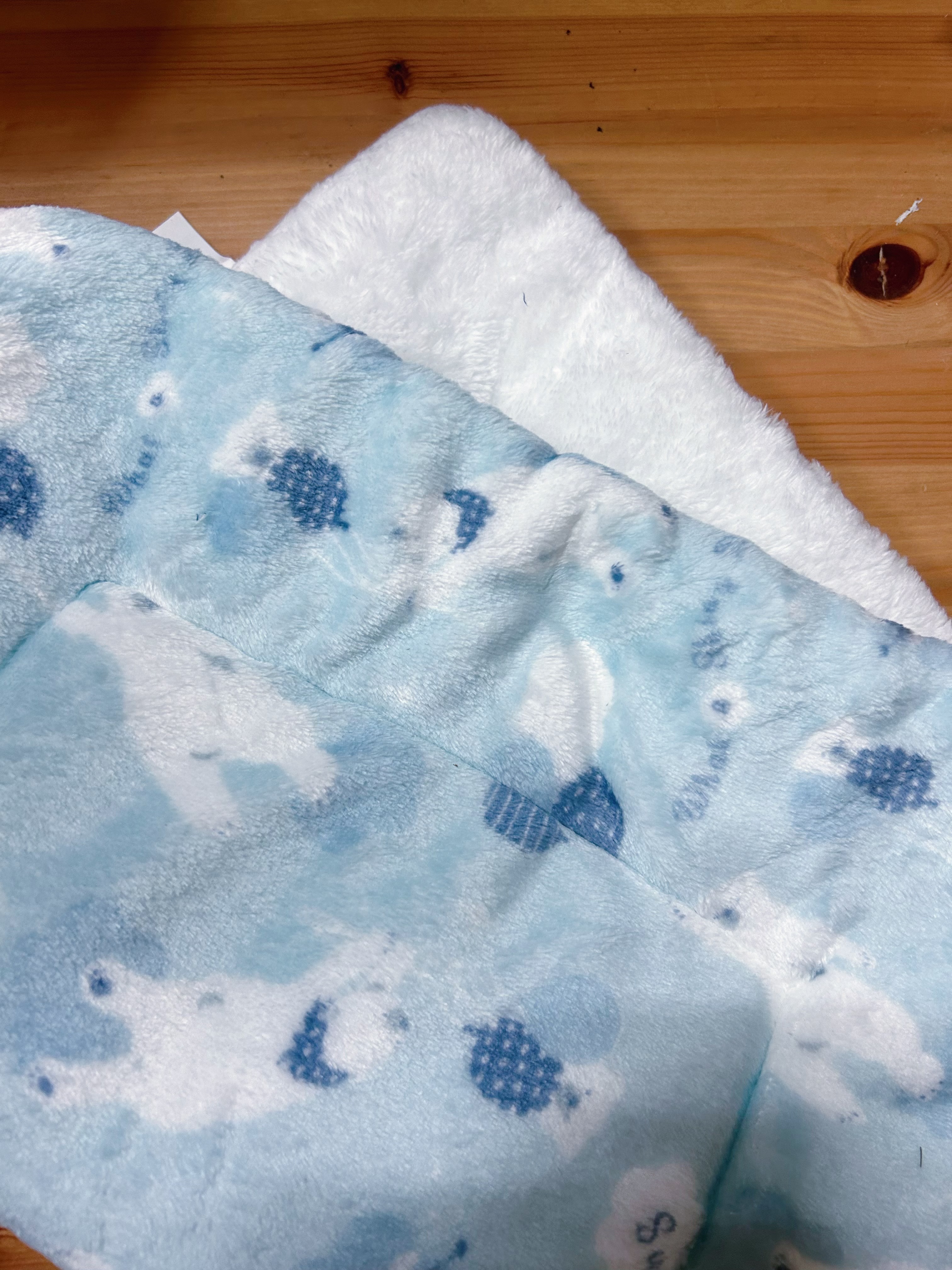 藍色北極熊 加厚兩用墊