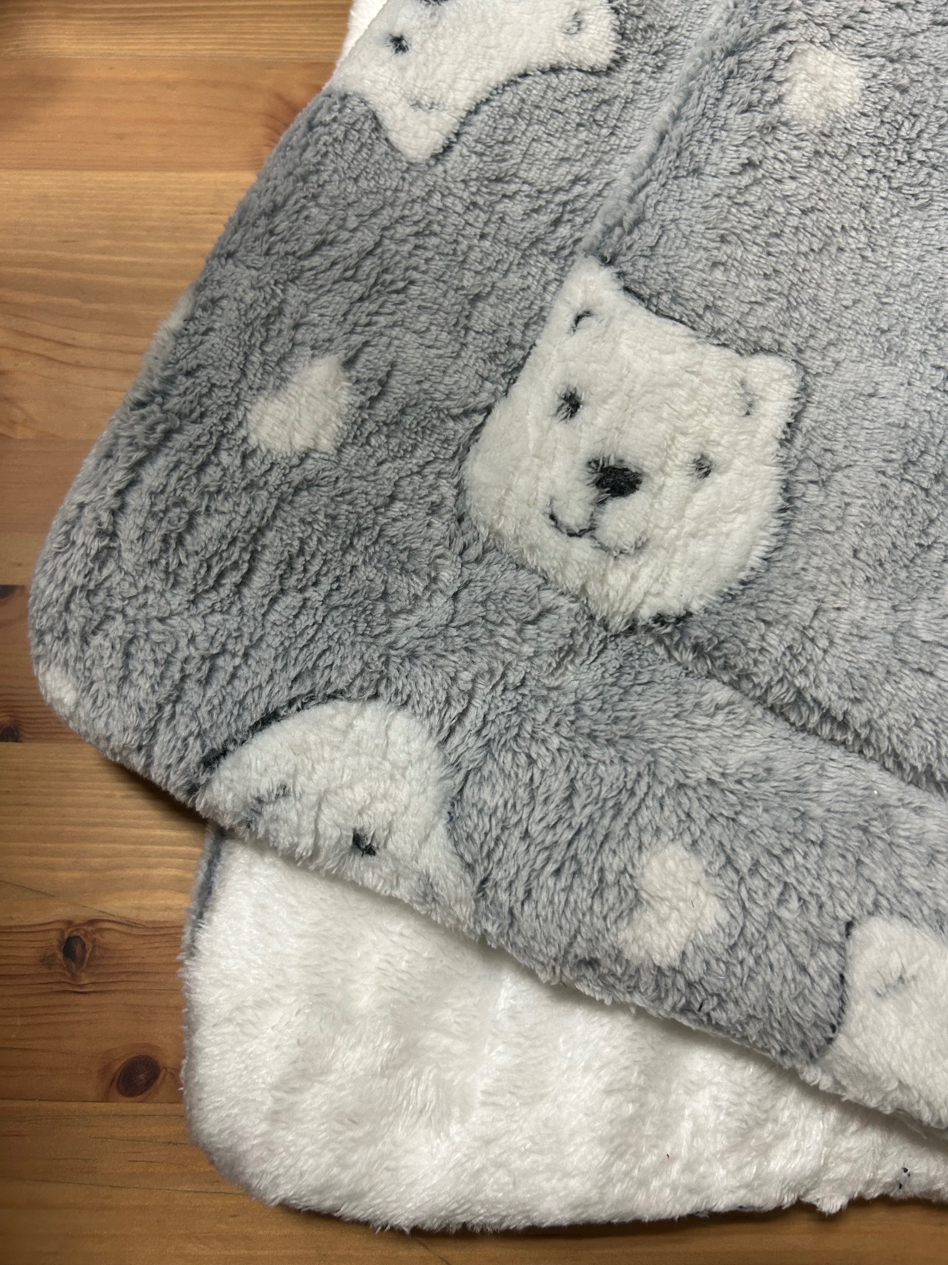 深色小貓 圖片模糊出清