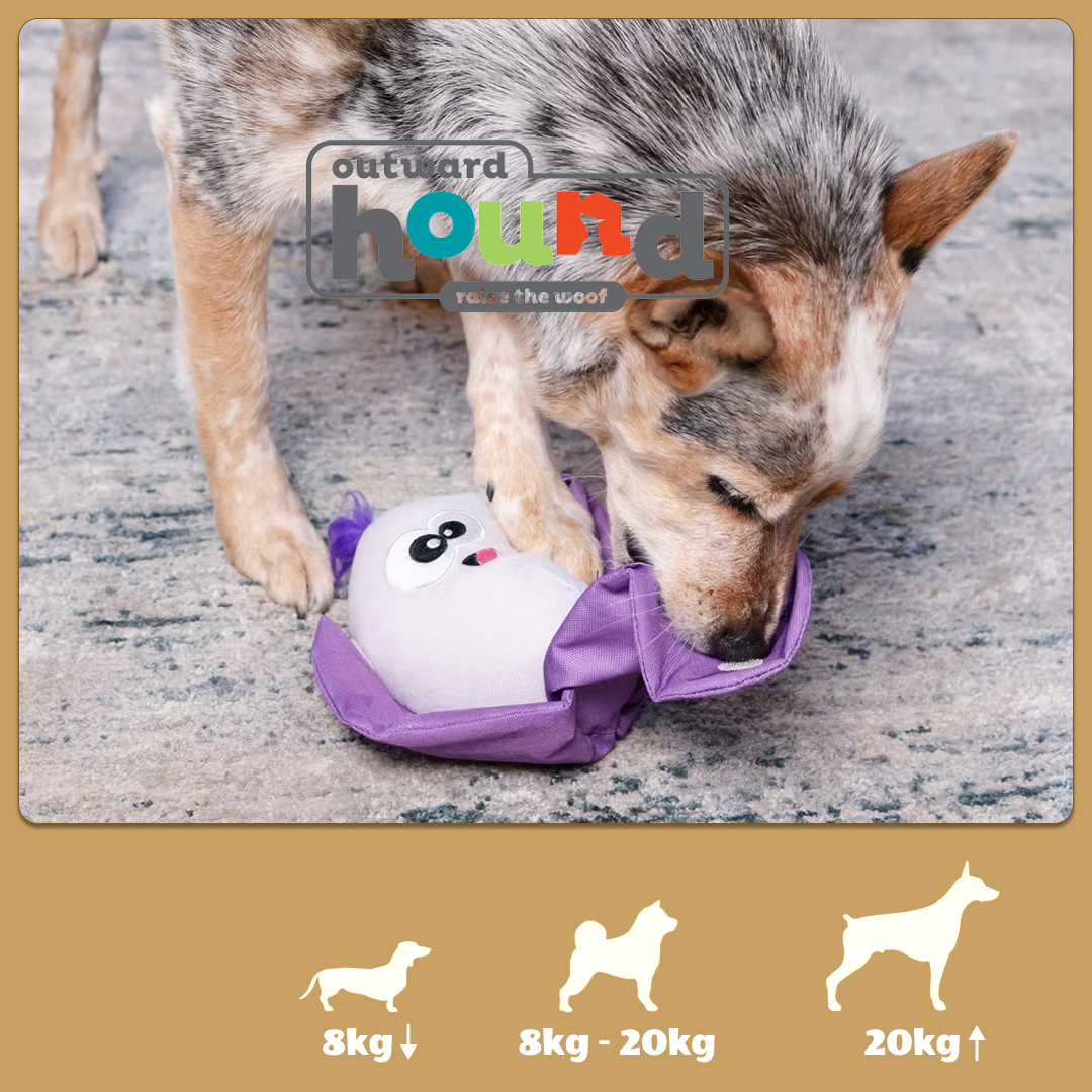 美國 | outward hound