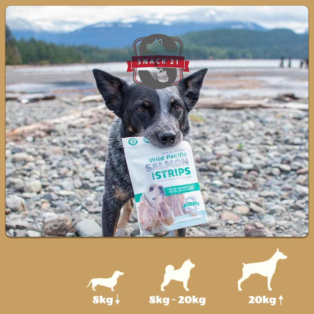 加拿大 | Snack 21 Treats