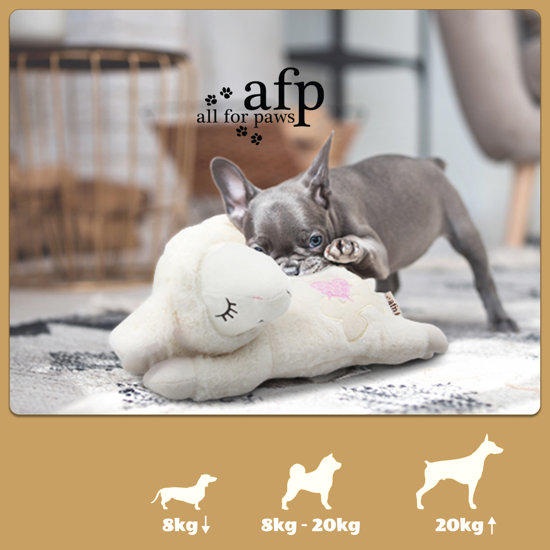 美國 | all for paws