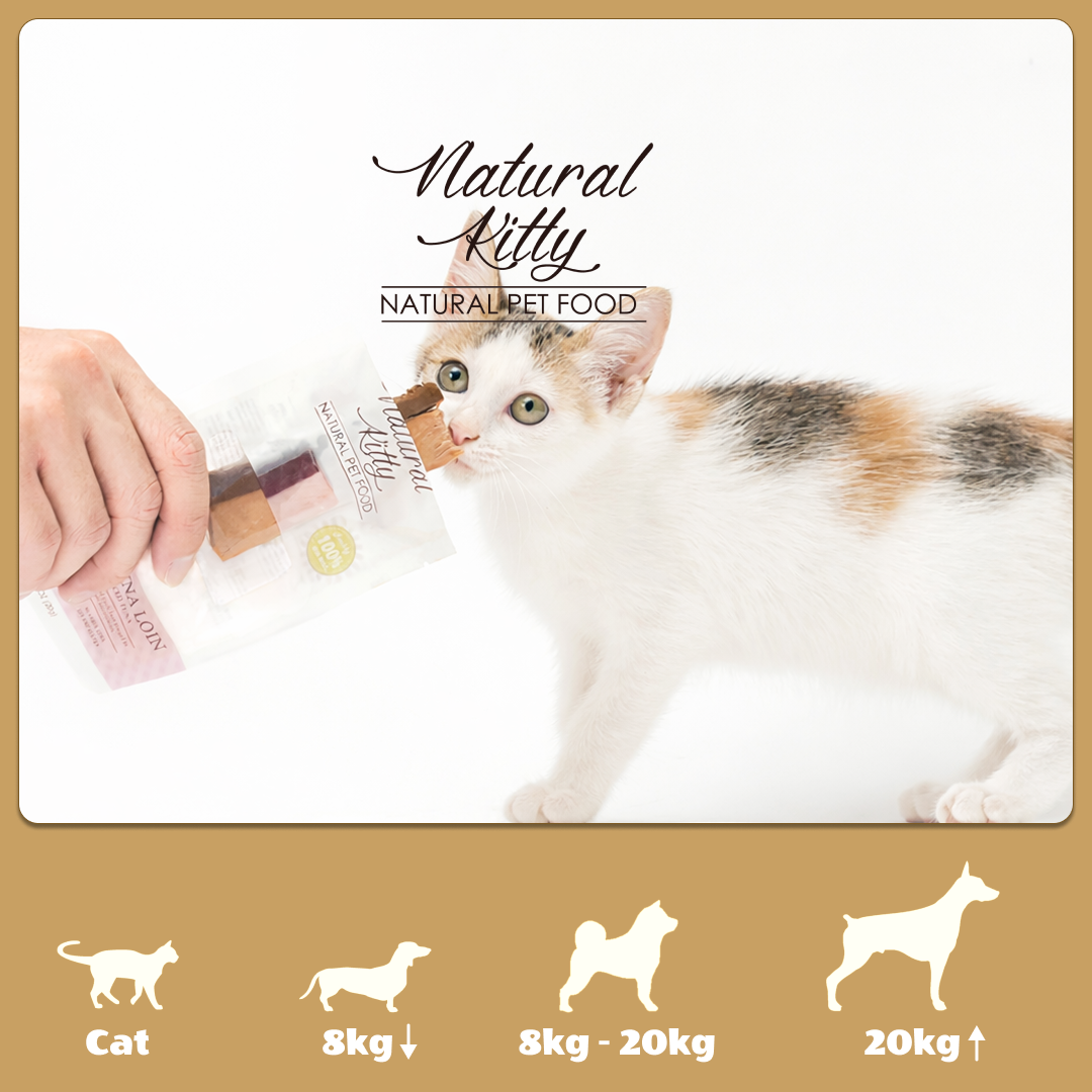 台灣｜Natural Kitty自然小貓