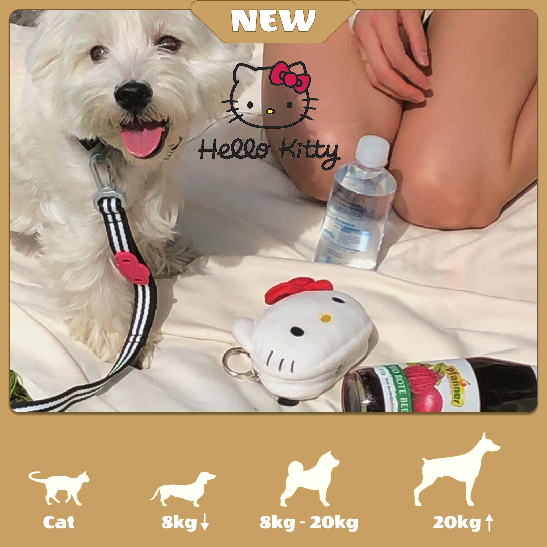 Hello Kitty正版商品