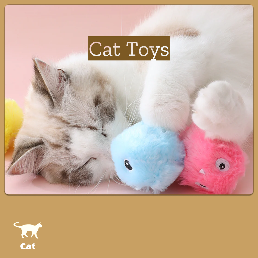 各式貓咪玩具