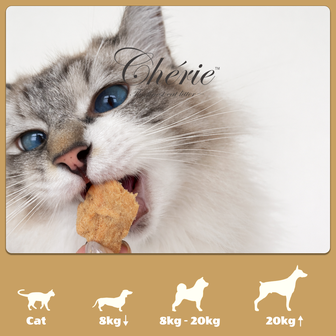 台灣 | Cherie法麗