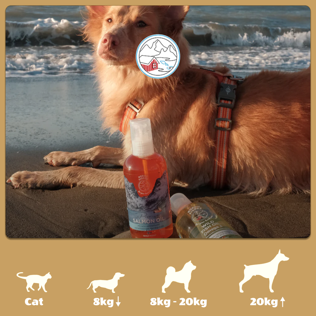 挪威 ｜NORDIC FJORDS