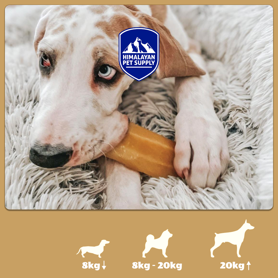尼泊爾 | HIMALAYAN PET SUPPLY