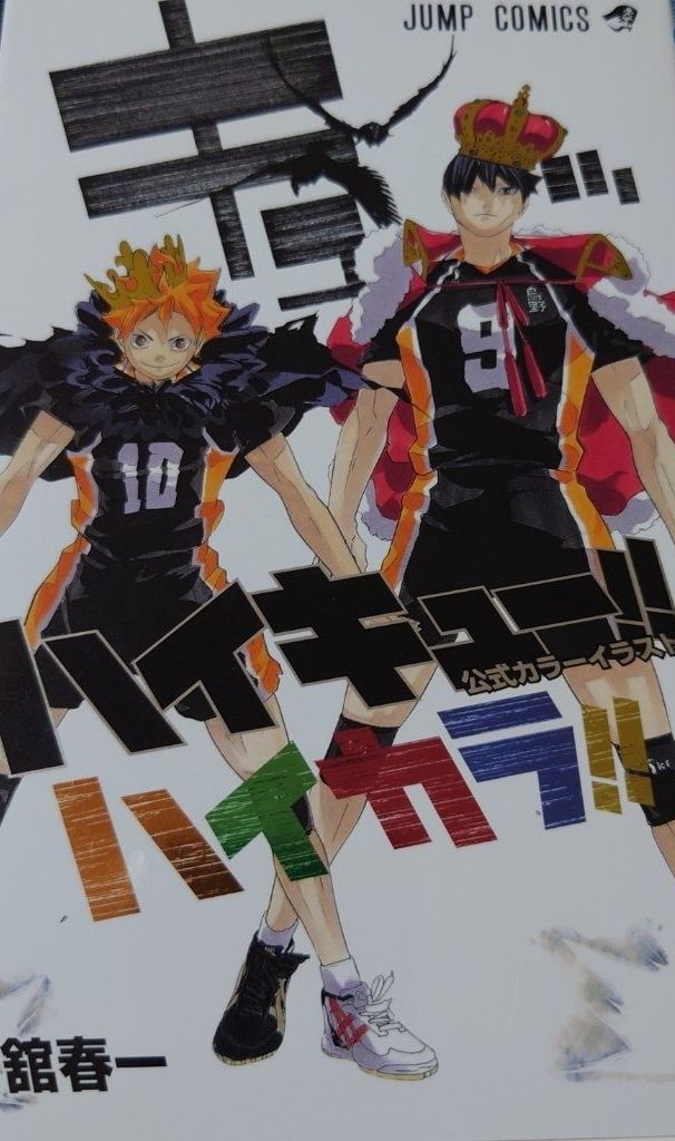 ハイキュー!! 公式カラーイラスト集 ハイカラ!!