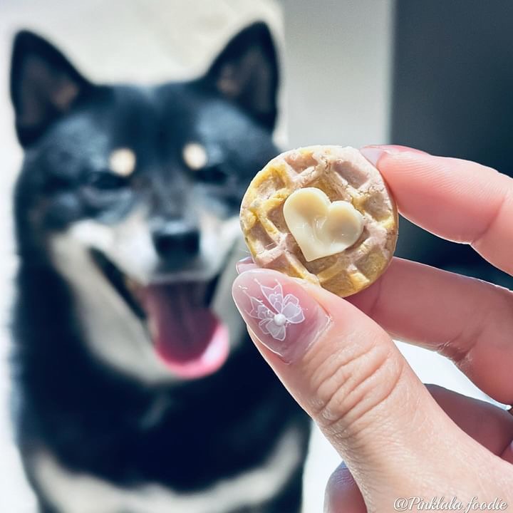 🌱零食現貨區