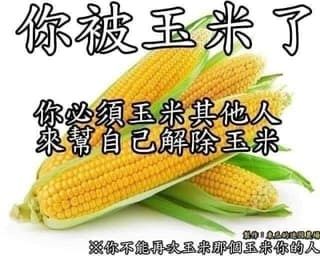 便宜娃物