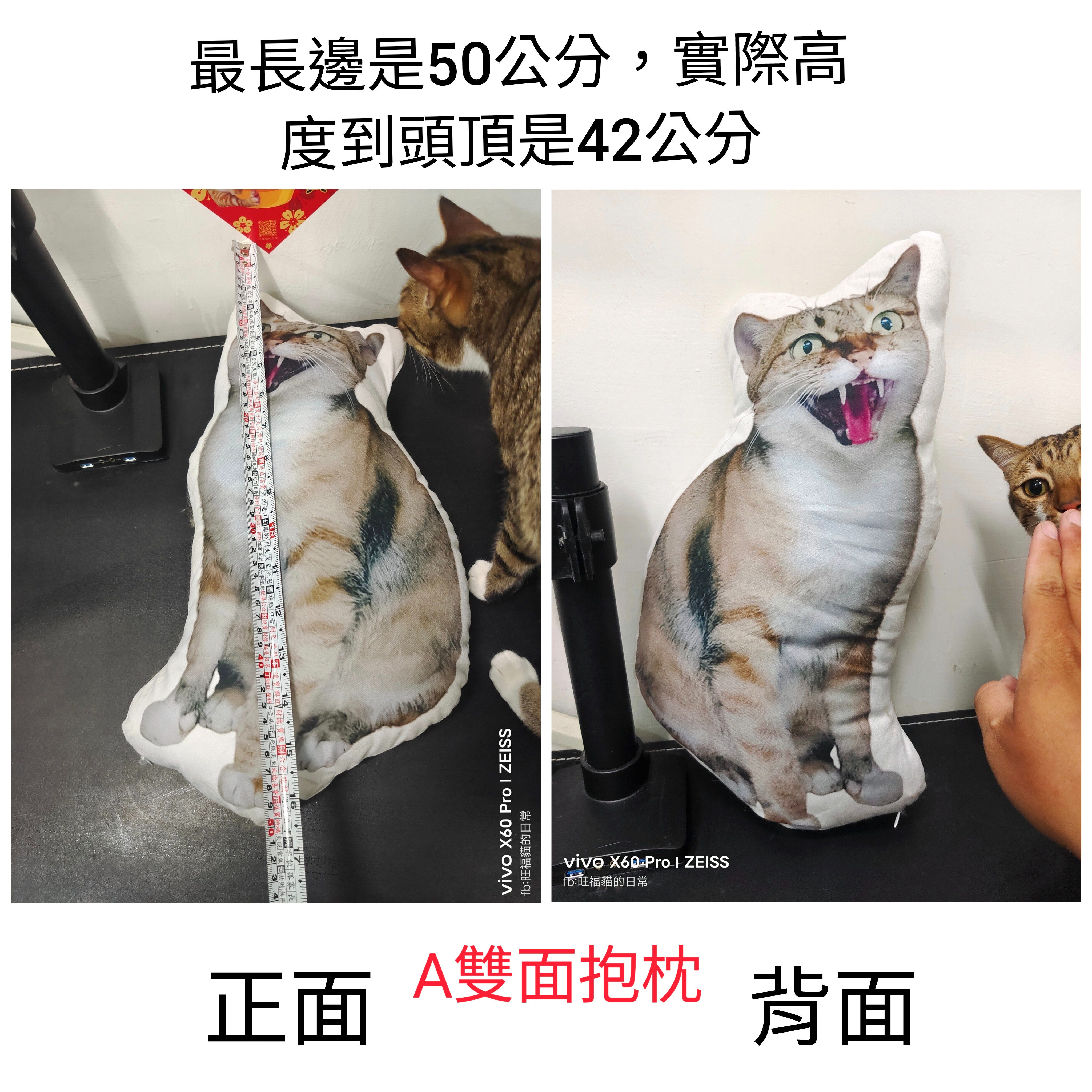 旺福貓雙面抱枕