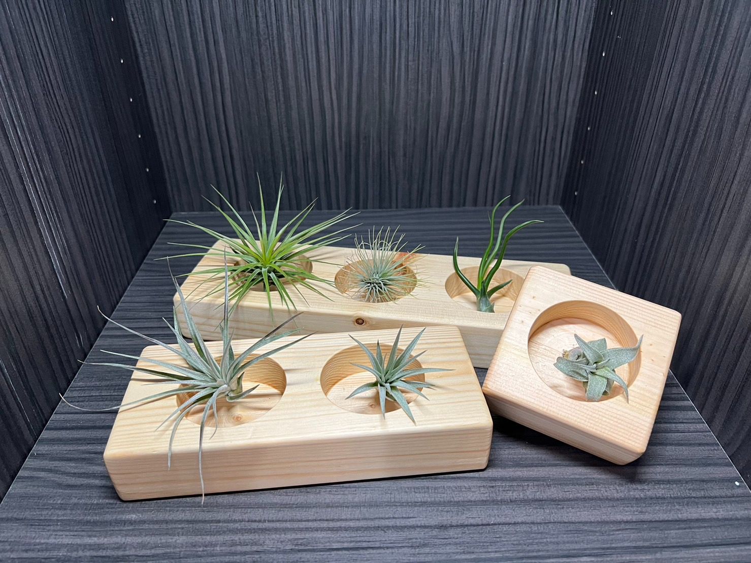 「台灣製造」｛植屋｝-療癒小物植栽盒