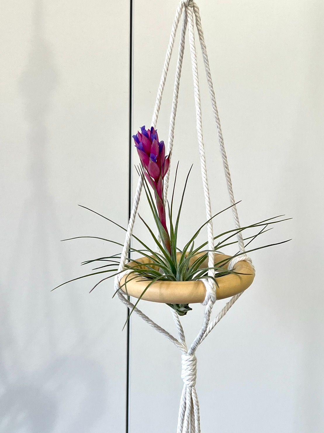 「台灣製造」｛植屋｝手工編織植物吊架