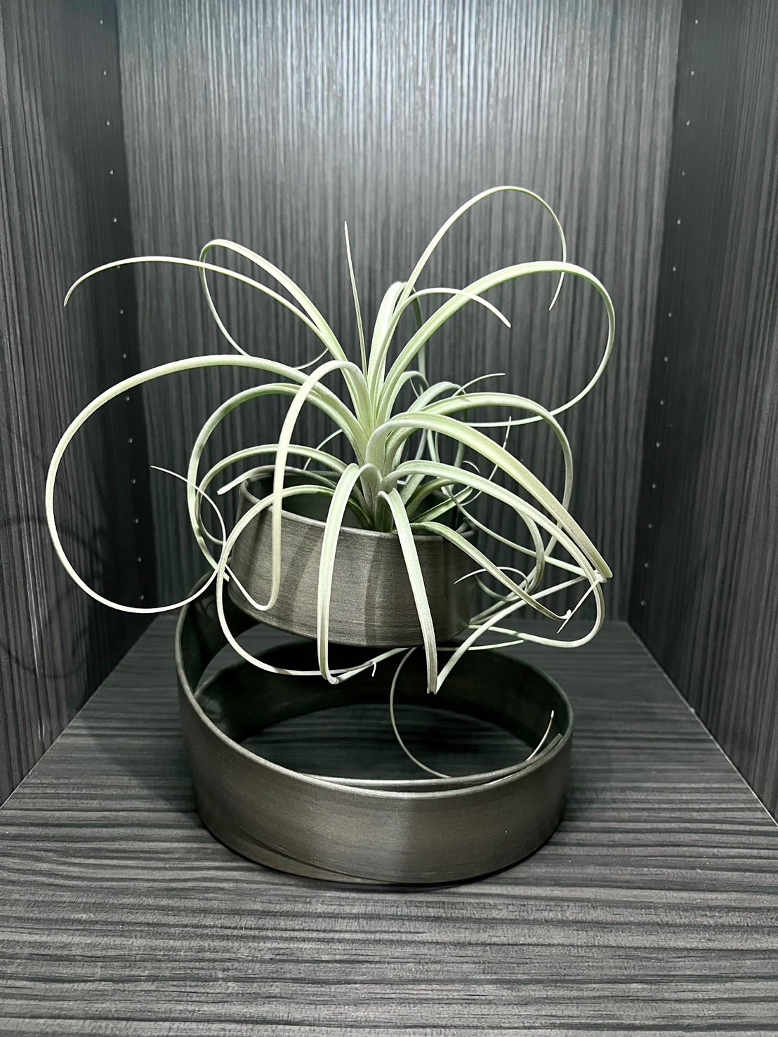 「植屋」空鳳-噴泉（大）附座