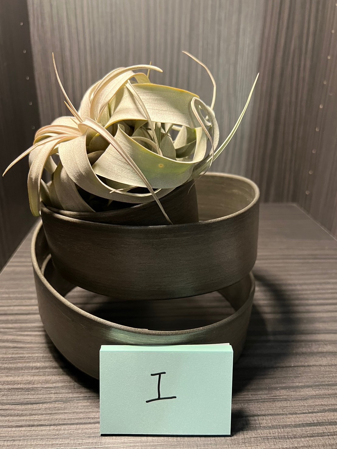 空氣鳳梨-霸王+座架（I款）