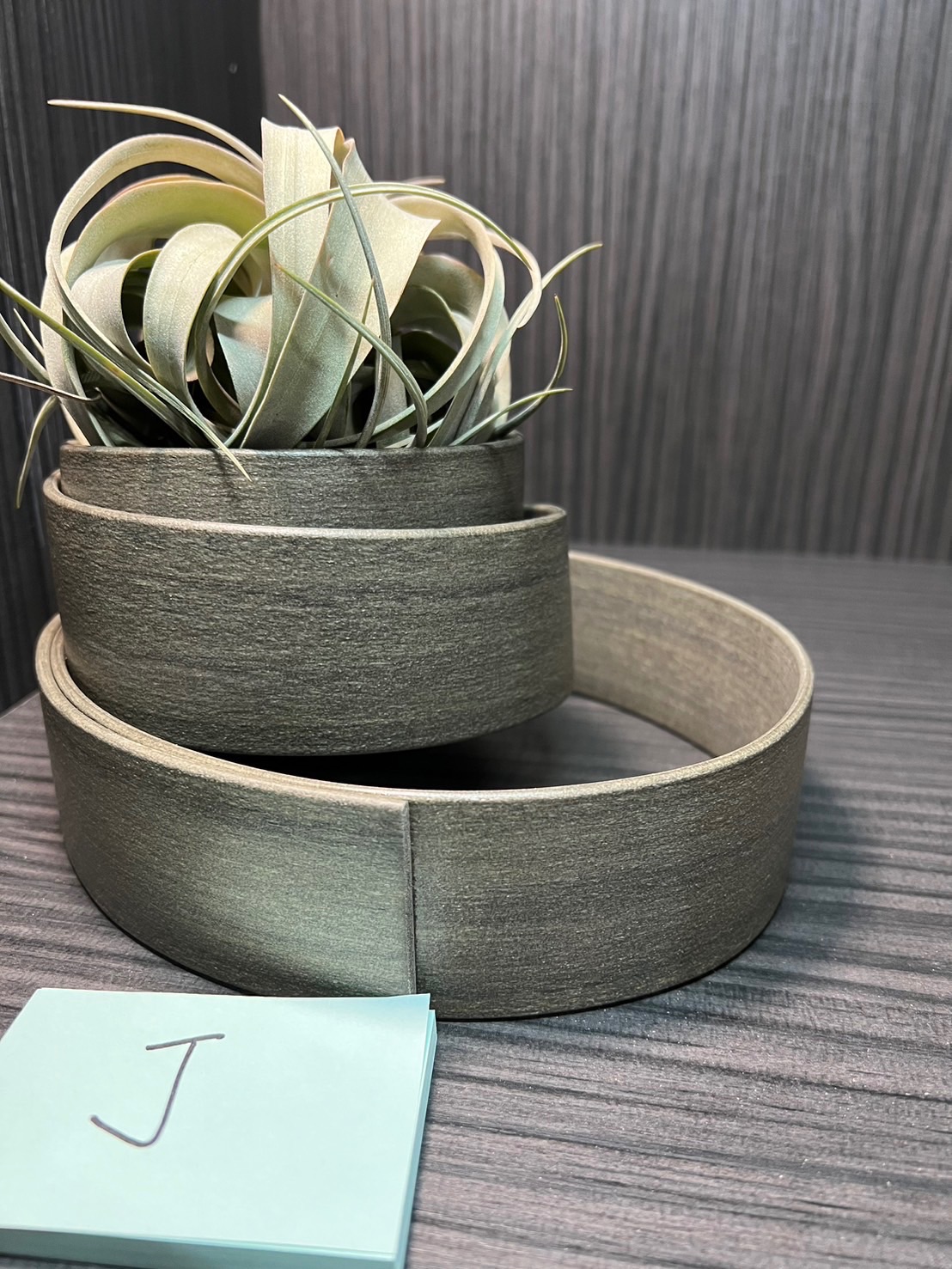 空氣鳳梨-霸王+座架（J款）