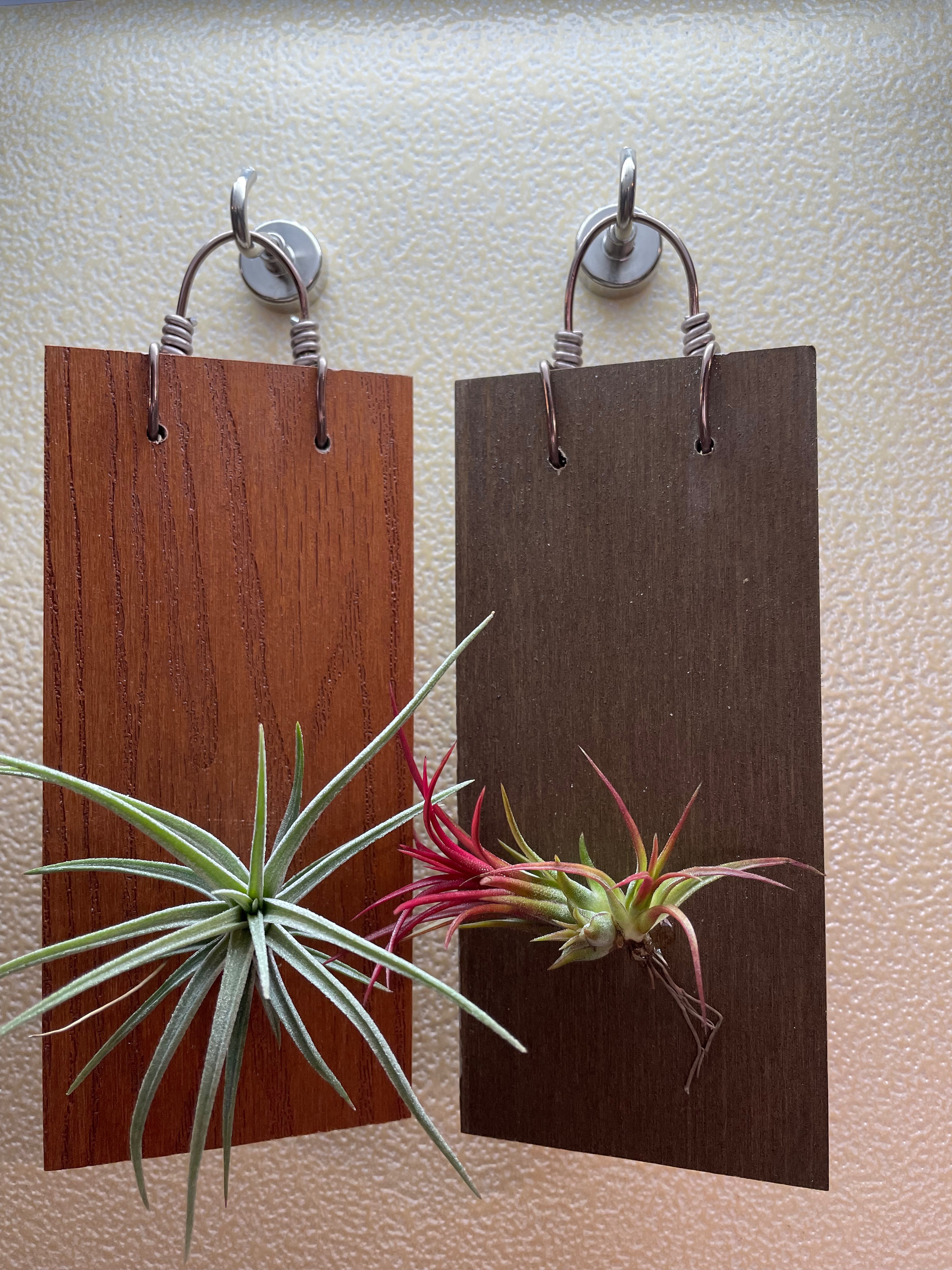 ｛植屋｝一板一鳳-植生板（不含植株）