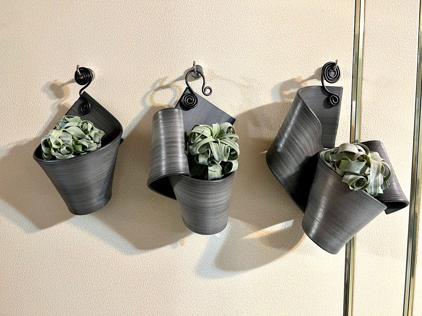 {植屋}緞帶系列-空氣鳳梨展示架（懸掛款）