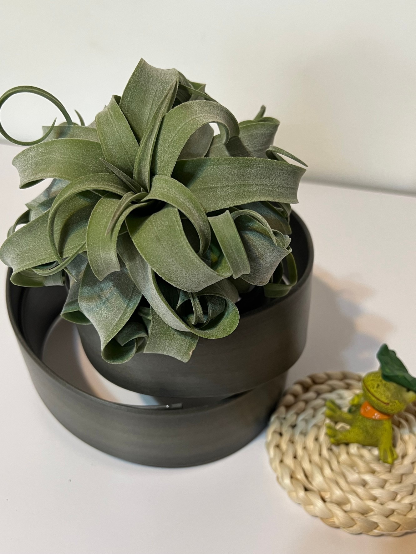 空氣鳳梨禮盒（電捲+手工座）