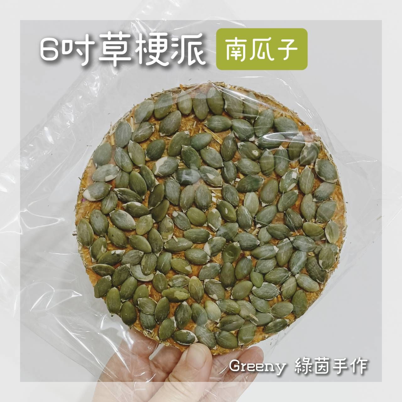 6吋草梗派（馬）