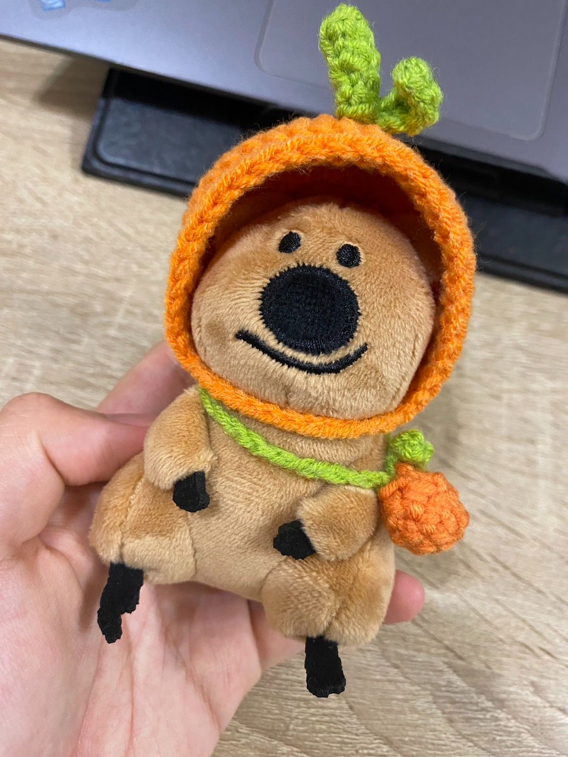 OTO娃哇屋🐰🐱水果頭套（10cm娃）