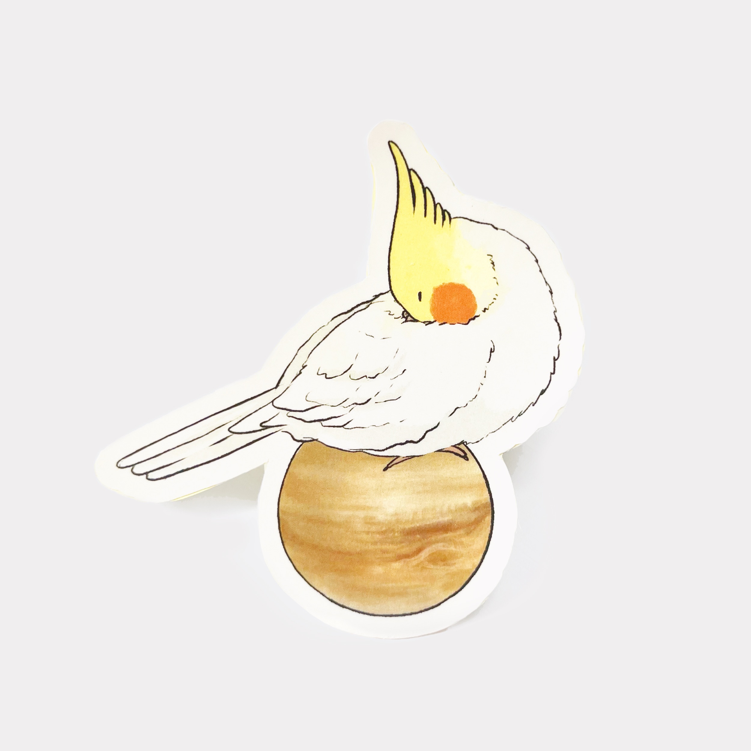 玄鳳鸚鵡 星球系列貼紙 | 地球月亮木星 共4款