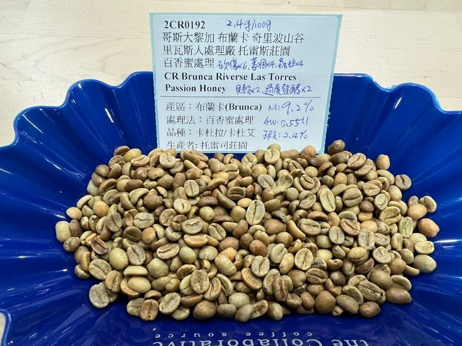 哥斯大黎加 布蘭卡 奇里波山谷 里瓦斯人處理廠 托雷斯莊園 百香蜜處理