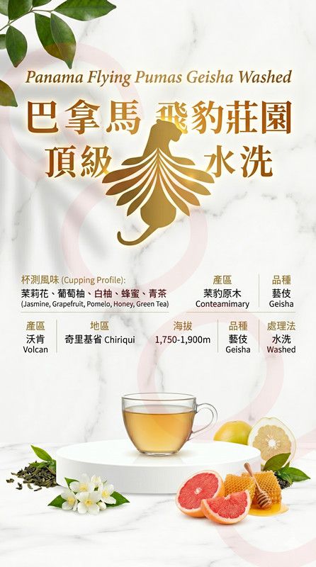 巴拿馬 飛豹莊園 頂級 水洗藝伎 原裝真空1公斤