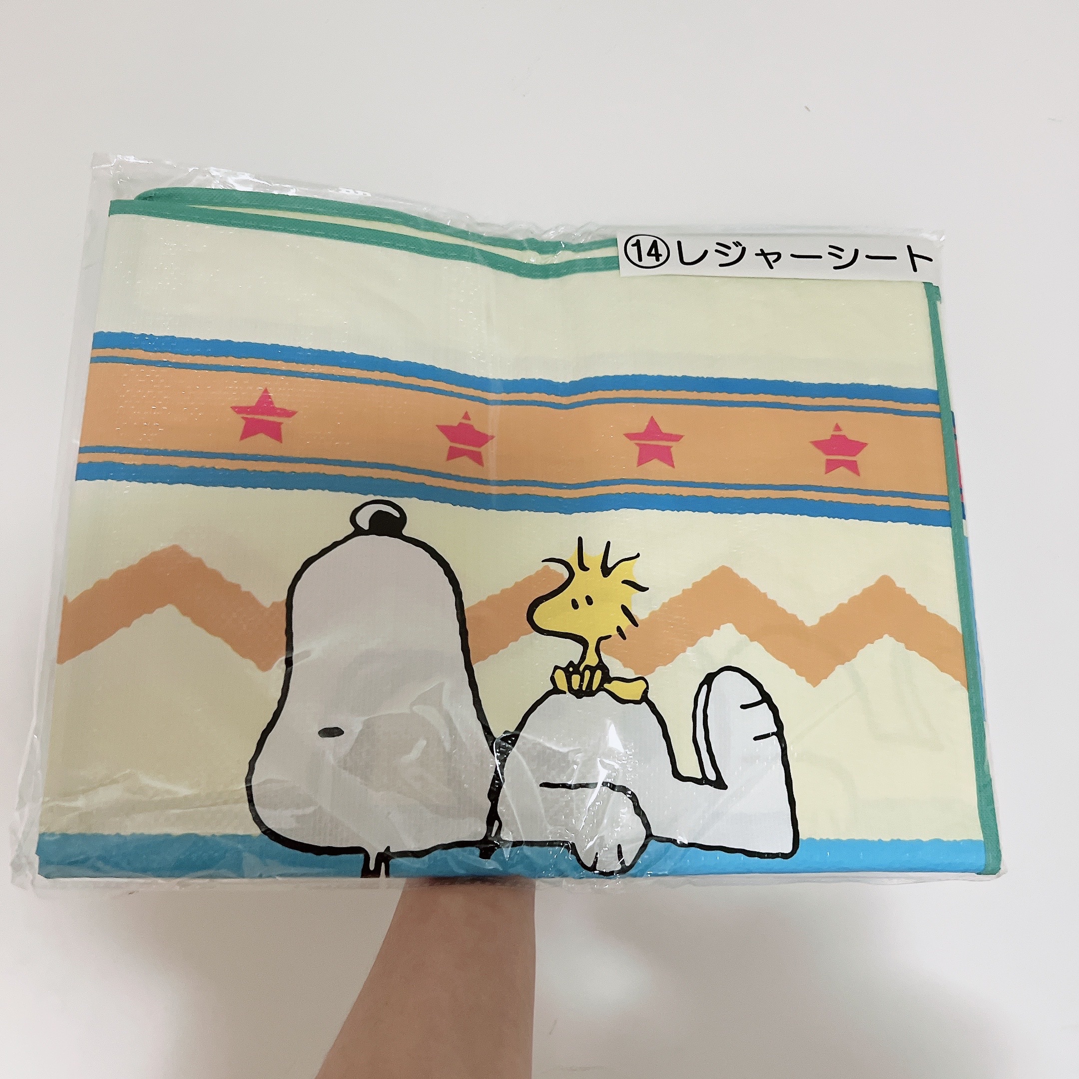🌟［快速出貨］史努比一番賞 14獎 野餐墊