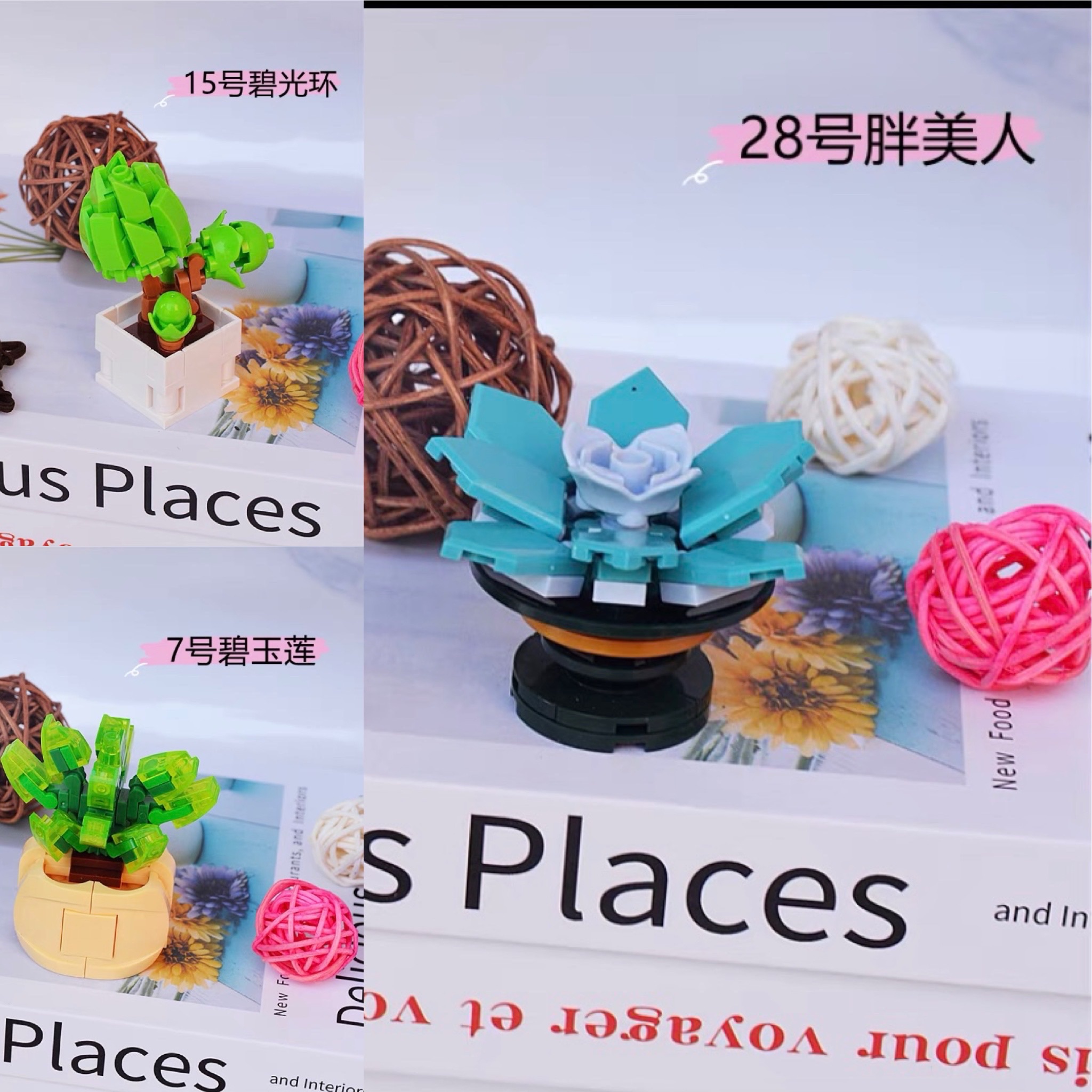 ［快速出貨］盆栽積木（三入）胖美人 碧光環 碧玉蓮