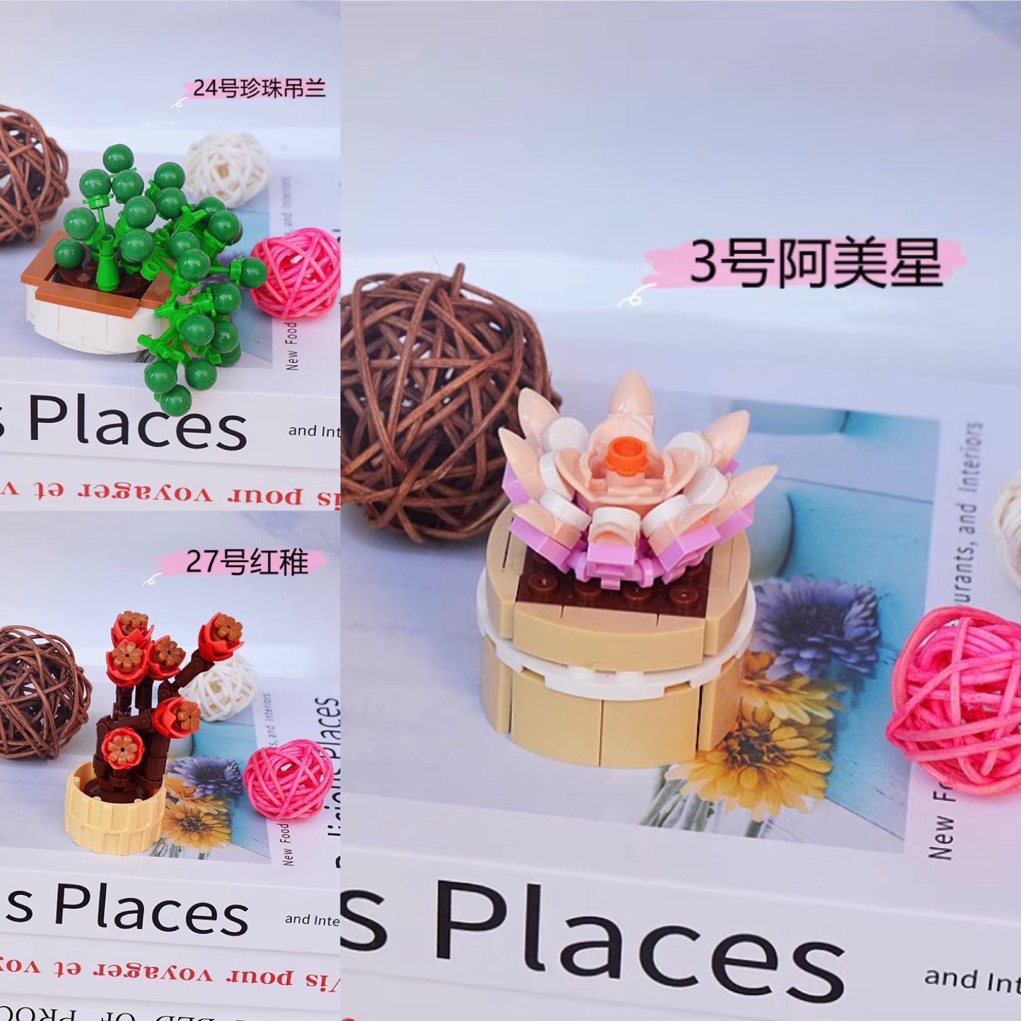 ［快速出貨］盆栽積木（三入）珍珠吊蘭 阿美里 紅稚