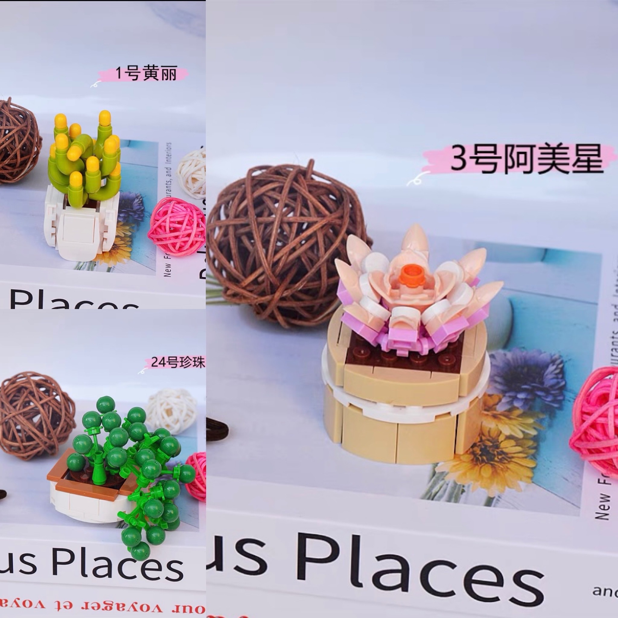 ［快速出貨］盆栽積木（3入） 珍珠吊蘭 阿美里 黃麗