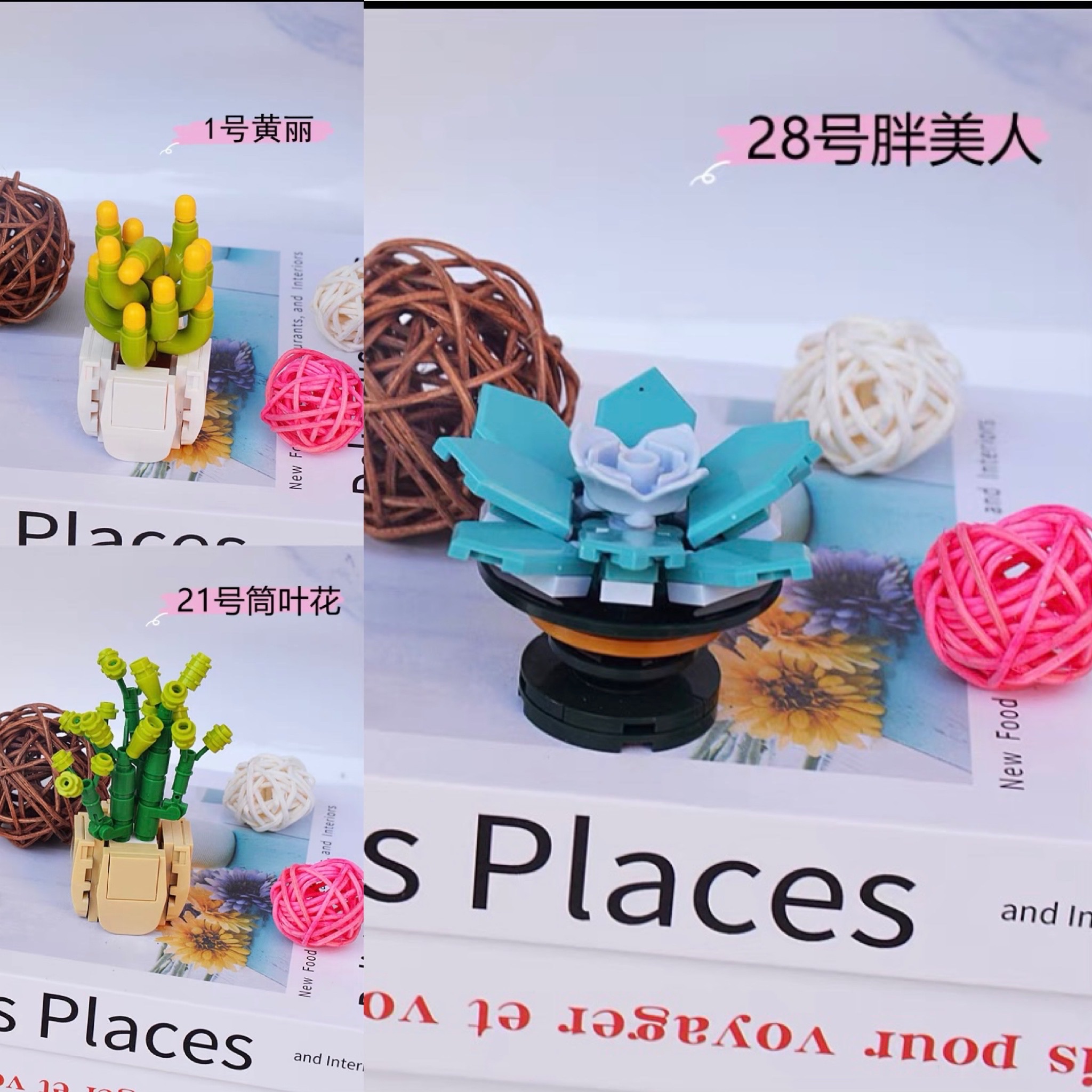 ［快速出貨］盆栽積木（3入）筒葉花 黃麗 胖美人