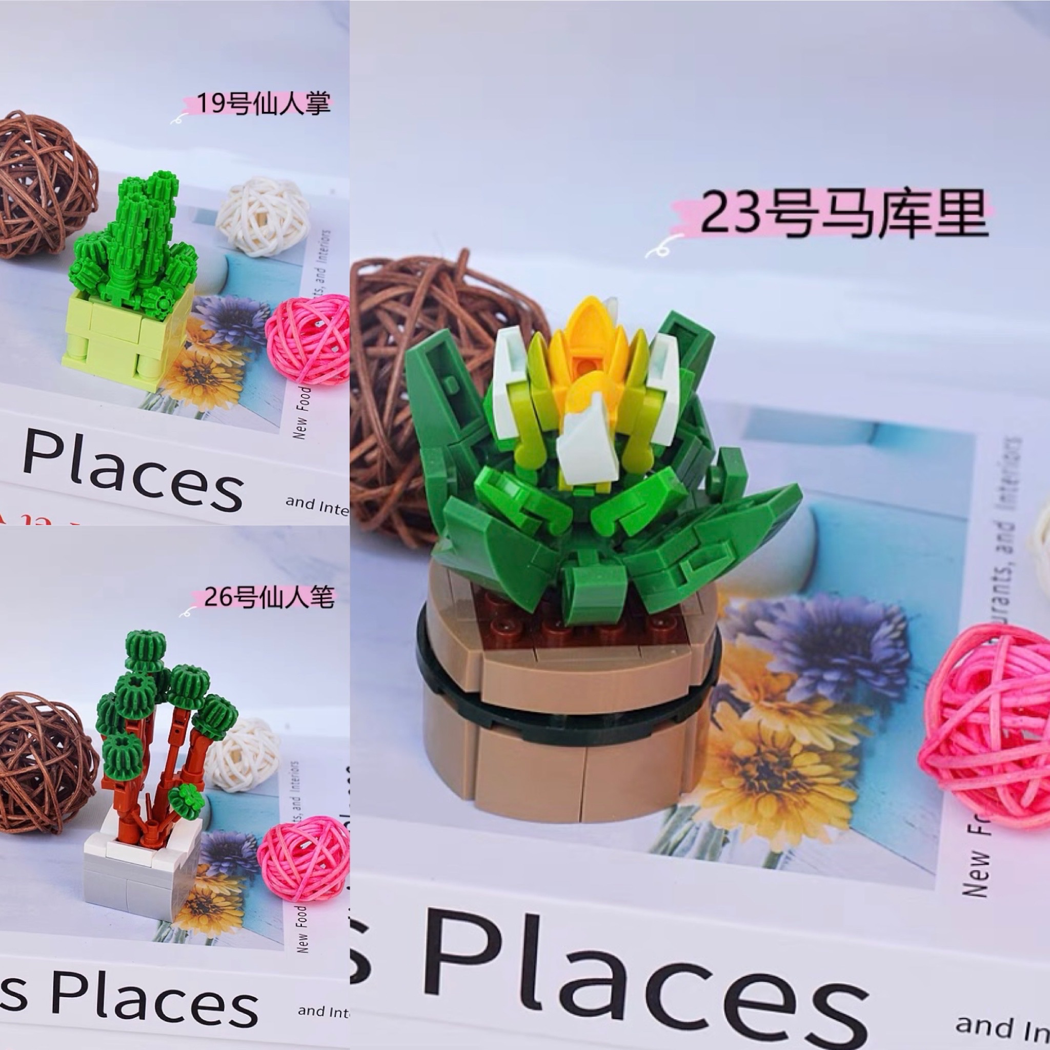 ［快速出貨］盆栽積木（三入）馬庫里 仙人筆 仙人掌