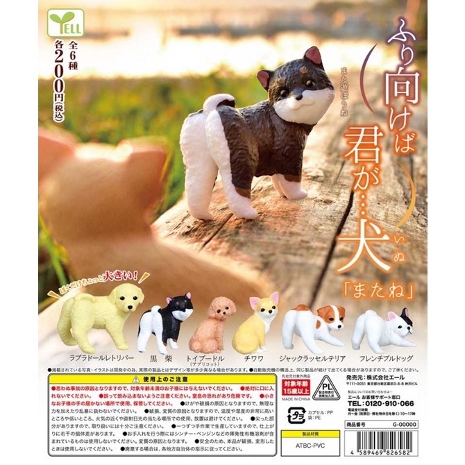 ［快速出貨］回眸狗狗動物p2扭蛋（一套6入） 狗狗回頭 往後看狗扭蛋回頭犬 回萌可愛狗狗扭蛋  正版