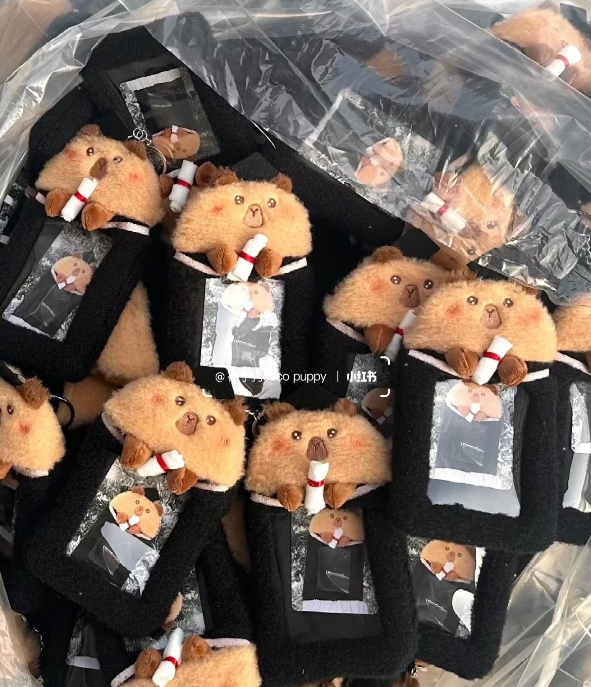 原創畢業生可愛水豚明星小卡卡套🎓🎓🎓