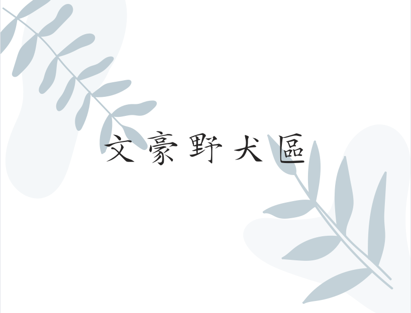 [B區] 文豪野犬官方小說（全區79/7折優惠）