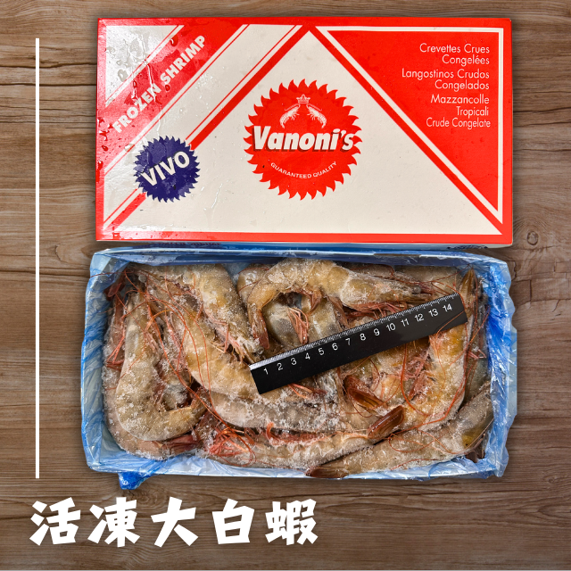 活凍大白蝦