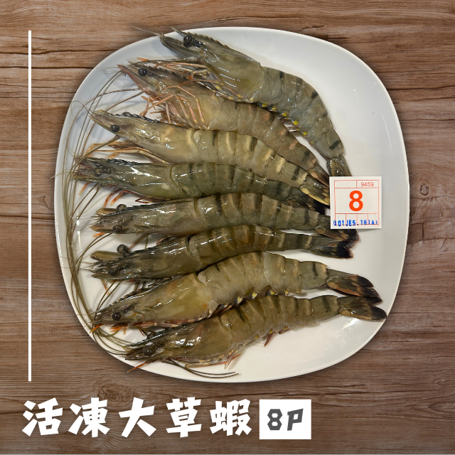 活凍大草蝦