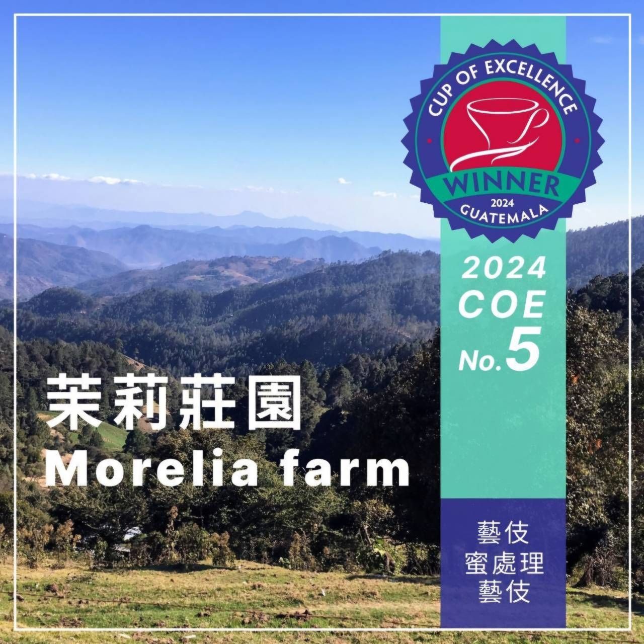 【J個Bear咖啡工坊】2024 瓜地馬拉 COE競標 第五名 （最後2包，5/23烘焙，只放到6月中）