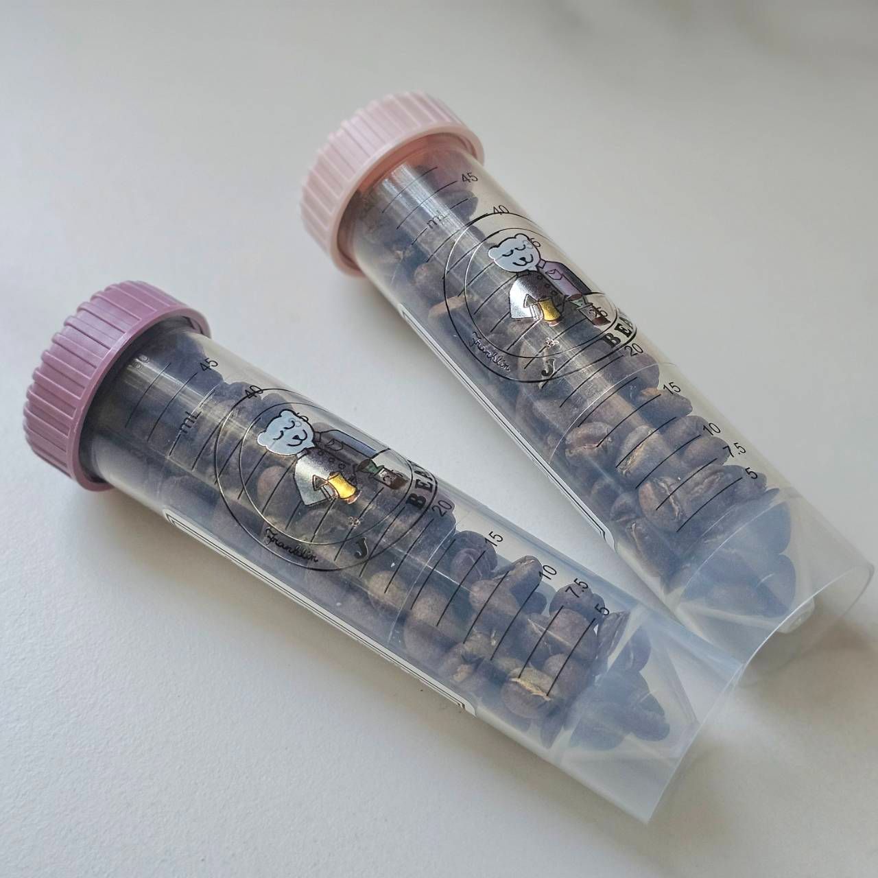 【J個Bear咖啡工坊】極選系列 老闆口袋破掉組合 （加贈15克嘉緹娜 !）