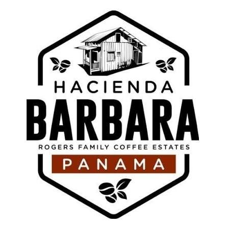 【J個Bear咖啡工坊】巴拿馬 波奎特 芭芭拉莊園 LOT.08 藝伎 水洗