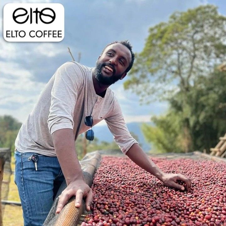 【J個Bear咖啡工坊】衣索比亞 西達馬 Elto 紅標 瀚馬修 日曬