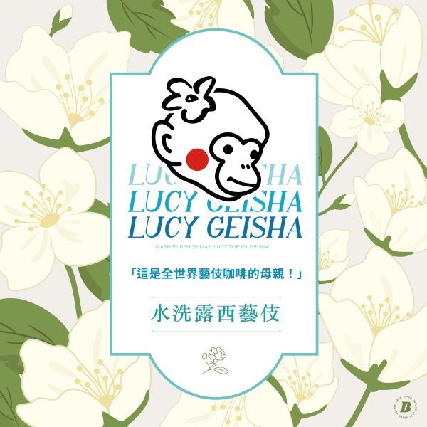 衣索比亞  班奇馬吉 露西 藝伎 水洗 咖啡豆