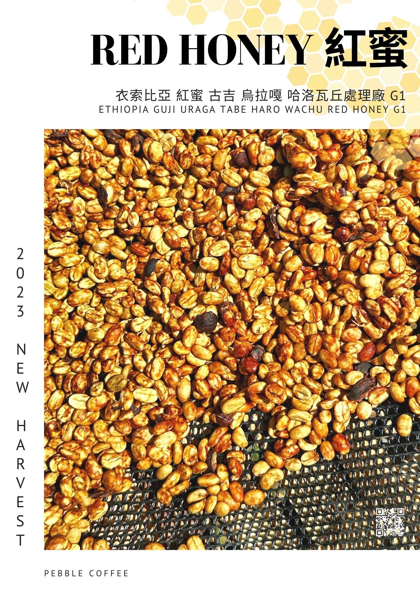 衣索比亞 古吉 烏拉嘎 哈洛瓦丘處理廠 紅蜜處理 G1 咖啡豆