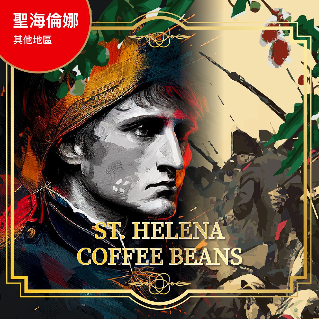 頂級咖啡豆 聖海倫娜 水洗 咖啡豆