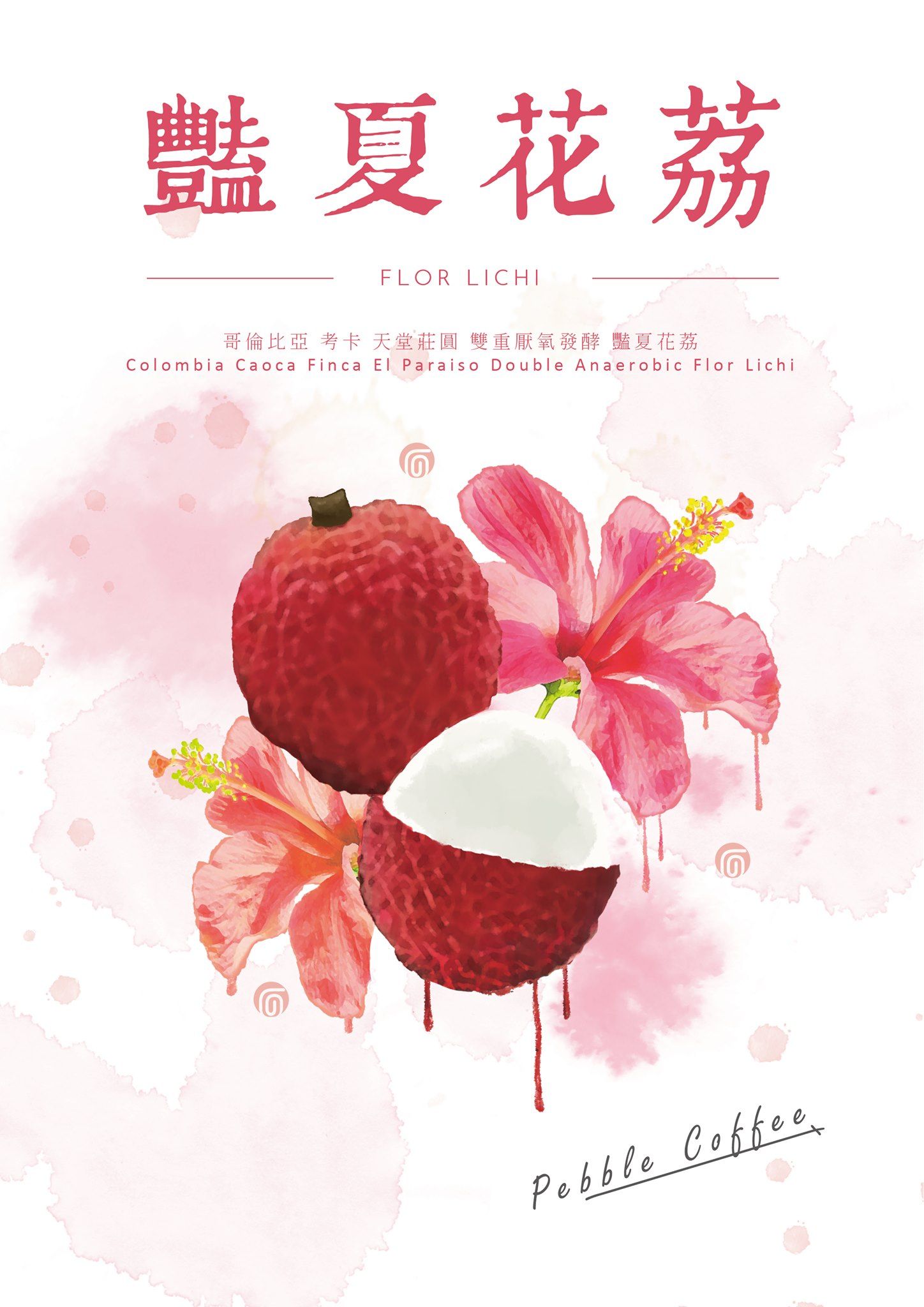 哥倫比亞 天堂莊園 雙重厭氧 豔夏花荔 咖啡豆 半磅