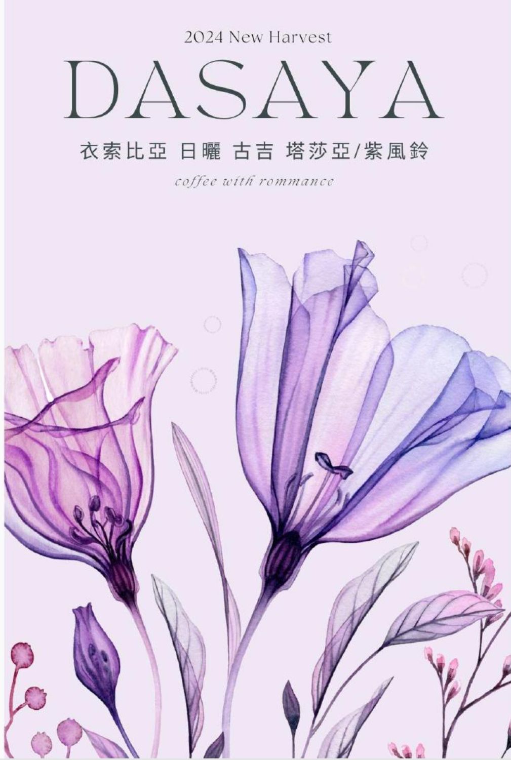 衣索比亞 古吉 塔莎亞/紫風鈴 日曬 淺中培