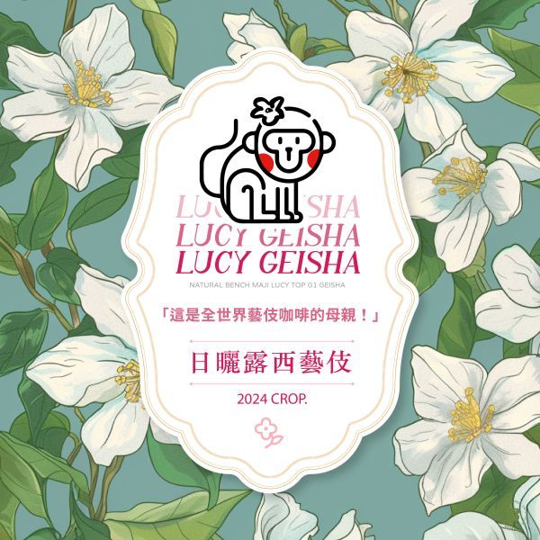 衣索比亞 班奇馬吉 露西藝伎 日曬 淺中焙